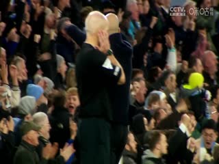 bt天堂网www在线观看